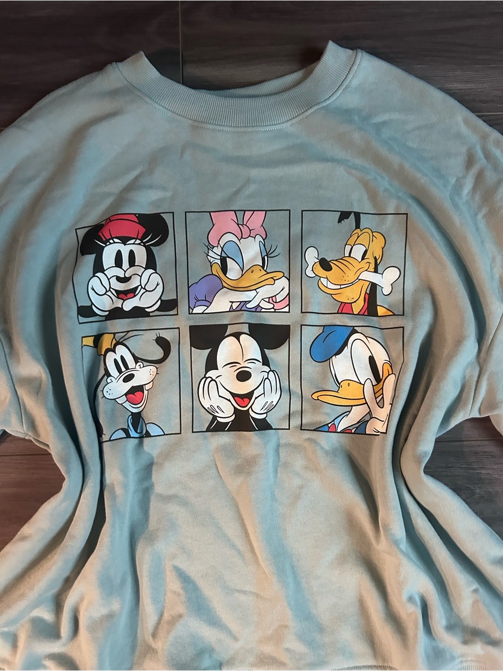 Disney Characters Graphic Sweater